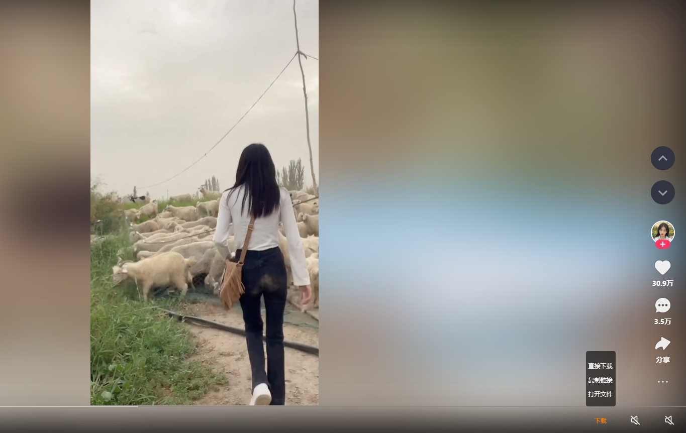 无水印解析下载小视频