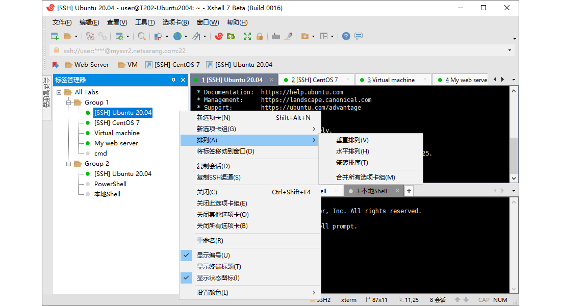 NetSarang Xmanager Power Suite 7.0020 (图2)